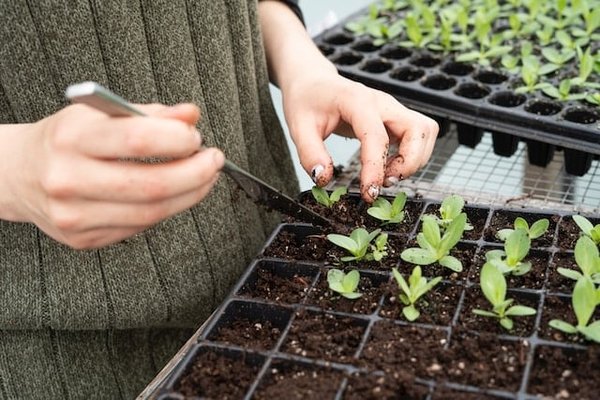 Les Formations en Horticulture proposées par Bonnefont-Educagri
