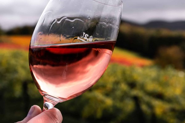 L'excellente variété de formations en viticulture offerte par Bonnefont-educagri